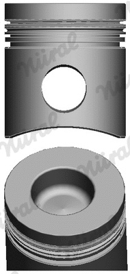 Piston (87-283100-60)