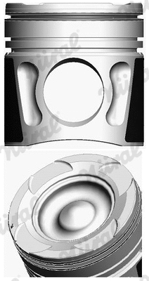 Piston (87-423000-00)
