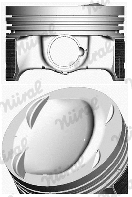 Piston (87-429900-00)