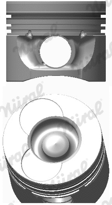 Piston (87-743100-00)