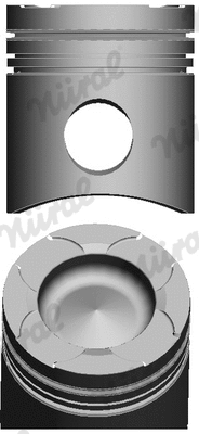 Piston (87-104300-00)
