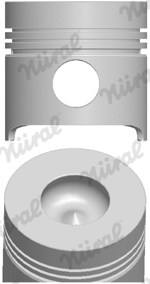 Piston (87-782000-00)