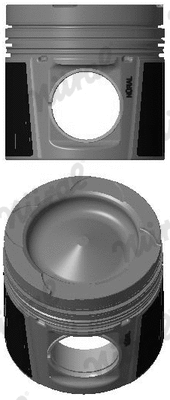 Piston (87-437500-00)