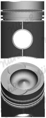 Piston (87-501300-00)