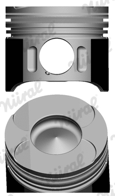 Piston (87-117900-20)