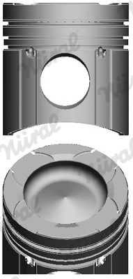 Piston (87-143800-00)