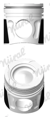 Piston (87-451700-00)