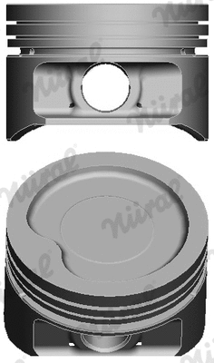 Piston (87-307100-20)