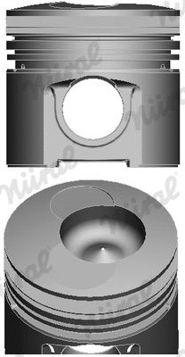 Piston (87-741800-20)
