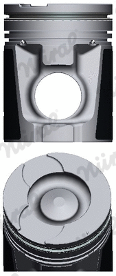 Piston (87-142800-00)