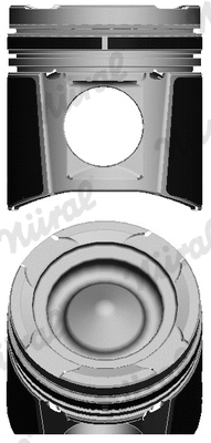 Piston (87-143800-60)