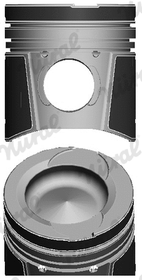 Piston (87-124500-00)