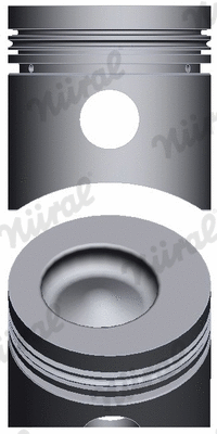 Piston (87-179300-25)