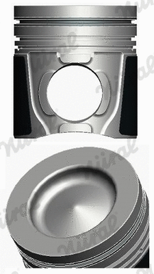 Piston (87-142000-00)