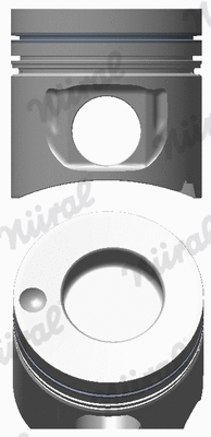 Piston (87-179300-15)