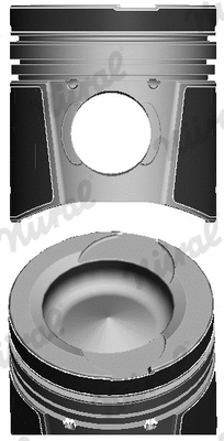 Piston (87-124500-10)