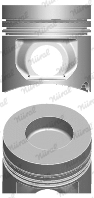 Piston (87-181700-00)