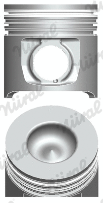 Piston (87-244500-30)