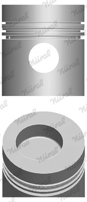 Piston (87-740000-50)