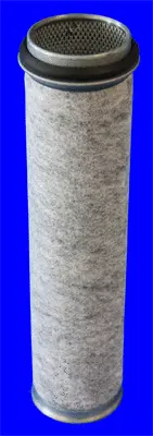 Secondary Air Filter