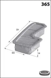 Air Filter (ELP9066)