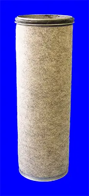 Secondary Air Filter