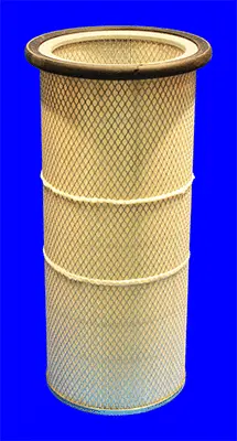 Secondary Air Filter