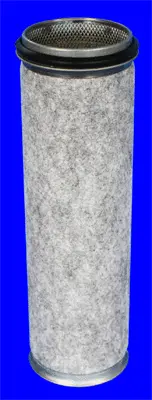 Secondary Air Filter