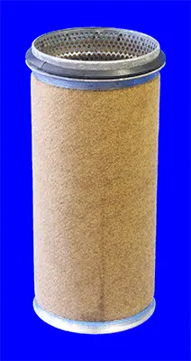 Secondary Air Filter