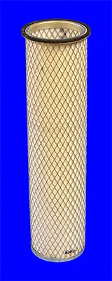 Secondary Air Filter