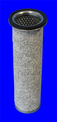 Secondary Air Filter