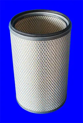 Secondary Air Filter
