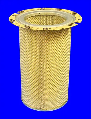 Secondary Air Filter