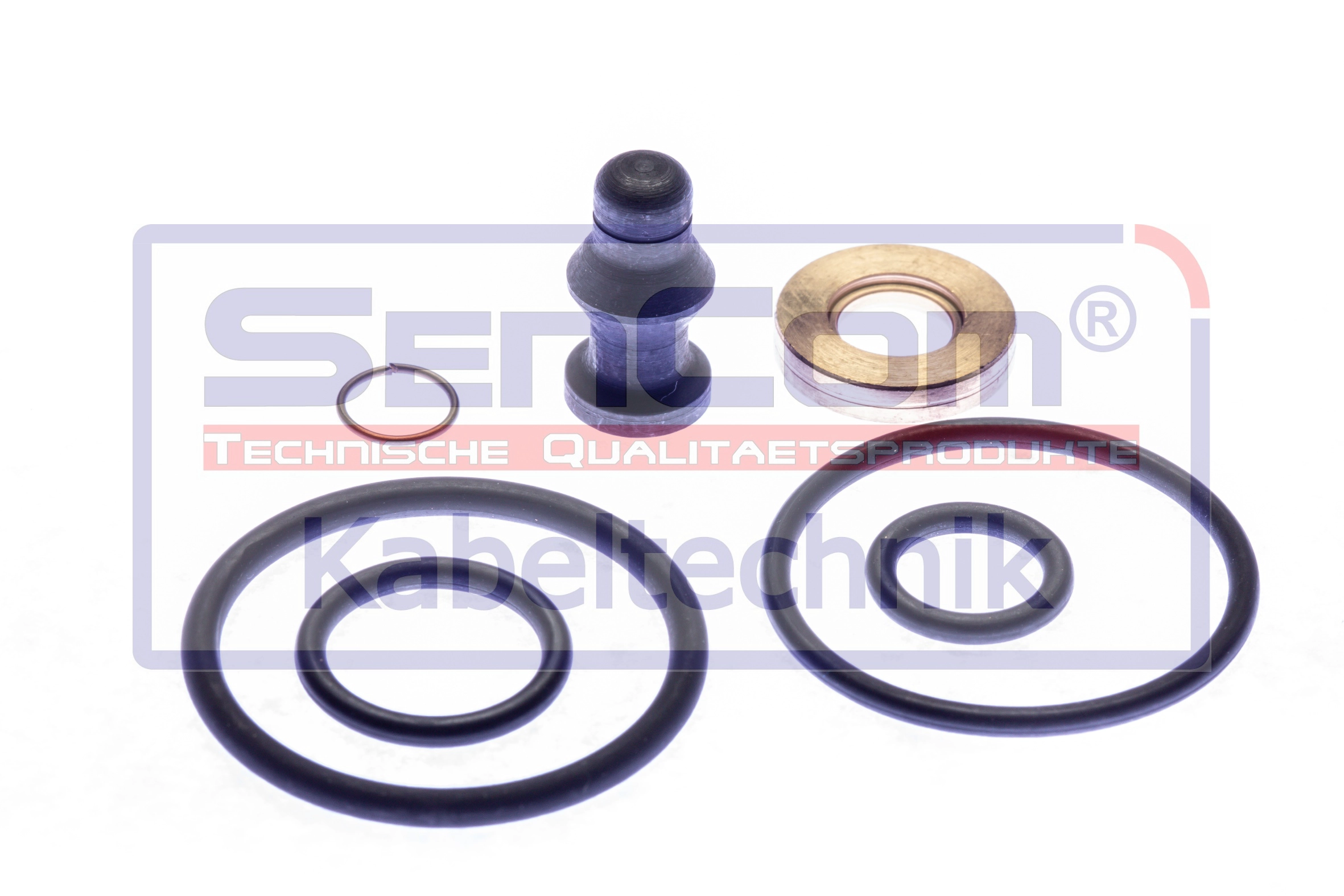 Repair Kit, injection nozzle (20407-DS)
