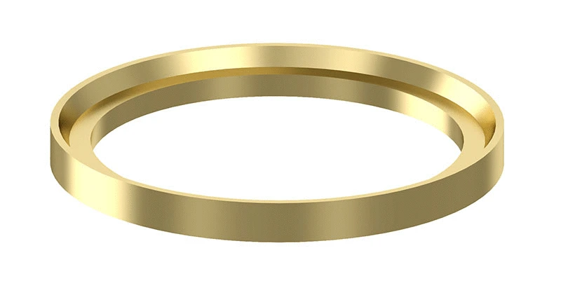 Pressure Ring (8930300404)