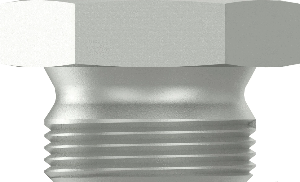 Screw Plug (8930100704)