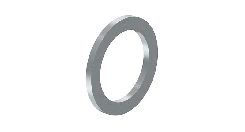 Seal Ring (8114011724)