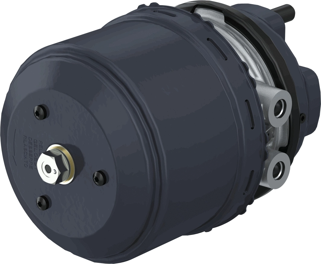 Multi-function Brake Cylinder (9254811230)