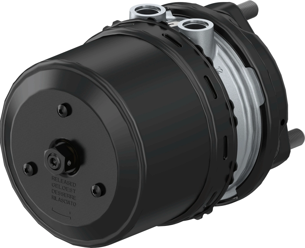 Multi-function Brake Cylinder (9254811600)