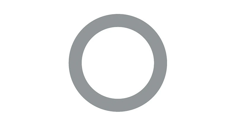 Seal Ring