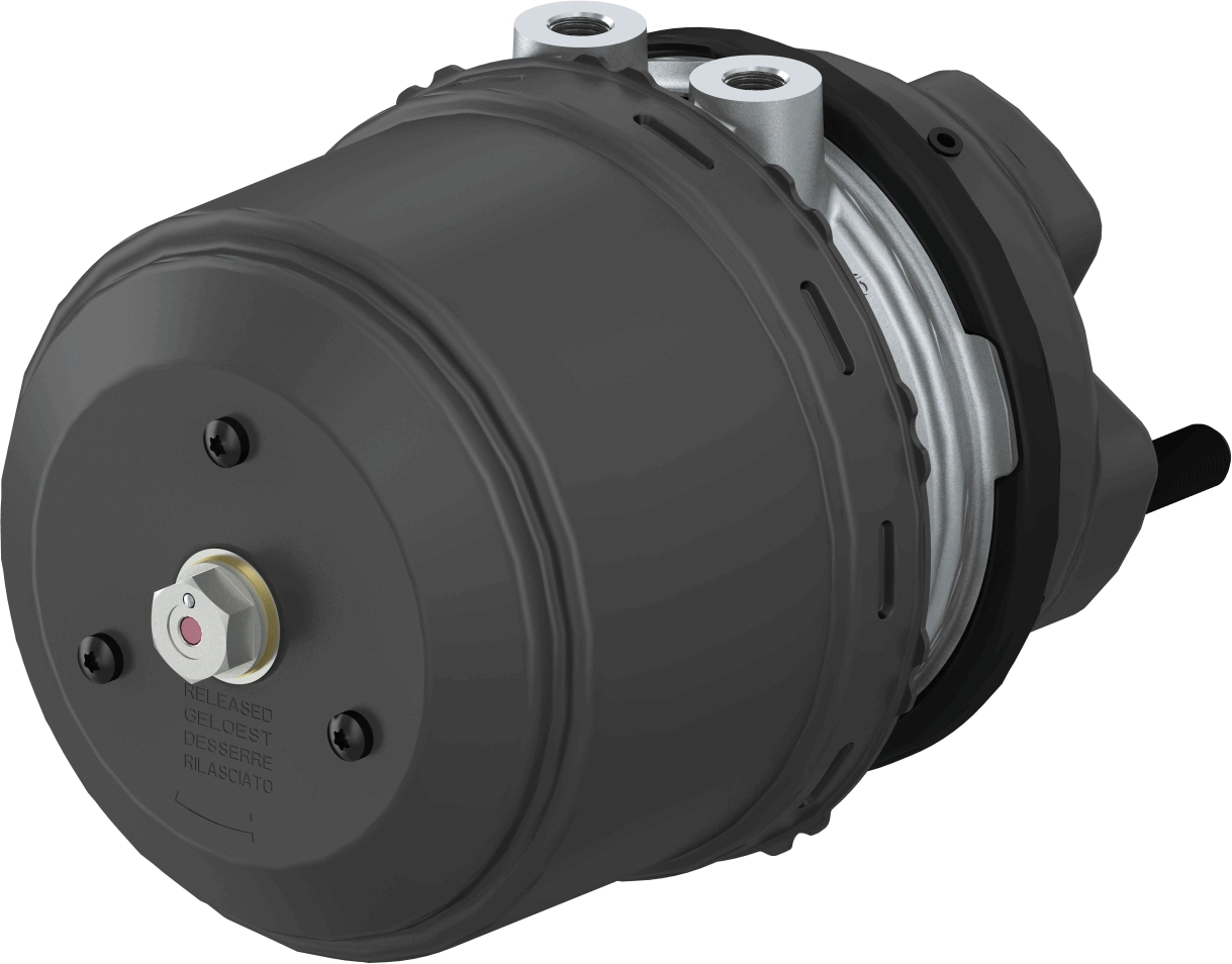 Multi-function Brake Cylinder (9254811000)