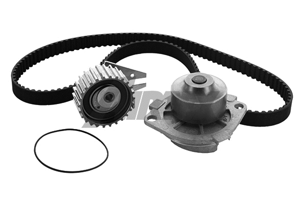 Water Pump & Timing Belt Kit (WPK-160201)