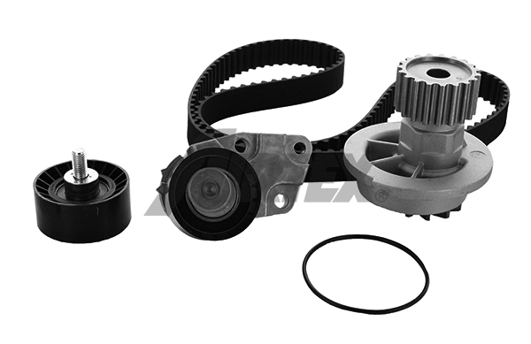 Water Pump & Timing Belt Kit (WPK-163301)