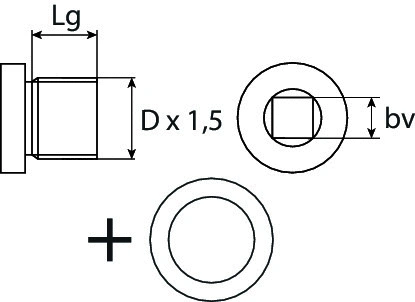 Screw Plug, oil sump