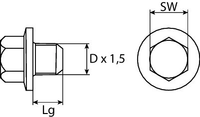 Screw Plug, oil sump