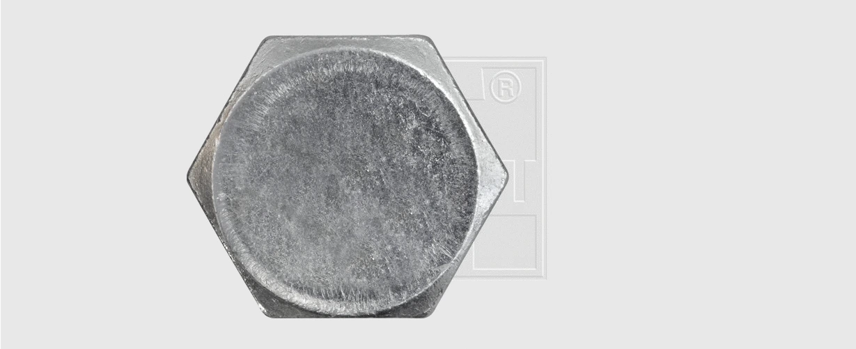 Screw Plug, oil sump (240141580)