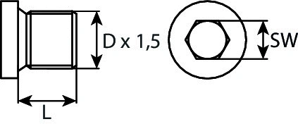 Screw Plug, oil sump