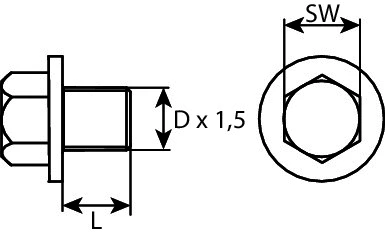 Screw Plug, oil sump