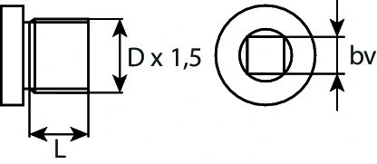 Screw Plug, oil sump