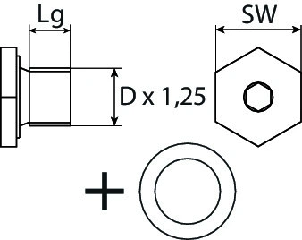 Screw Plug, oil sump